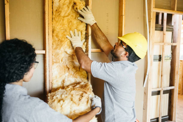 Best Batt and Roll Insulation  in Blue Springs, MO